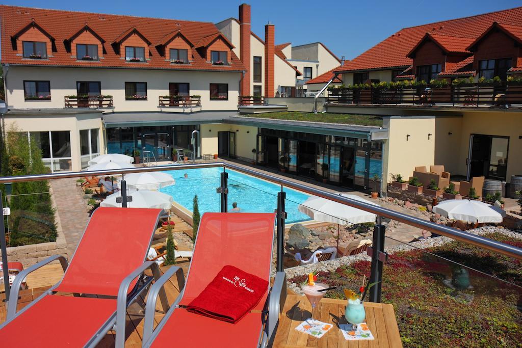 Ringhotel Hotel Zum Stein Oranienbaum-Woerlitz Ngoại thất bức ảnh
